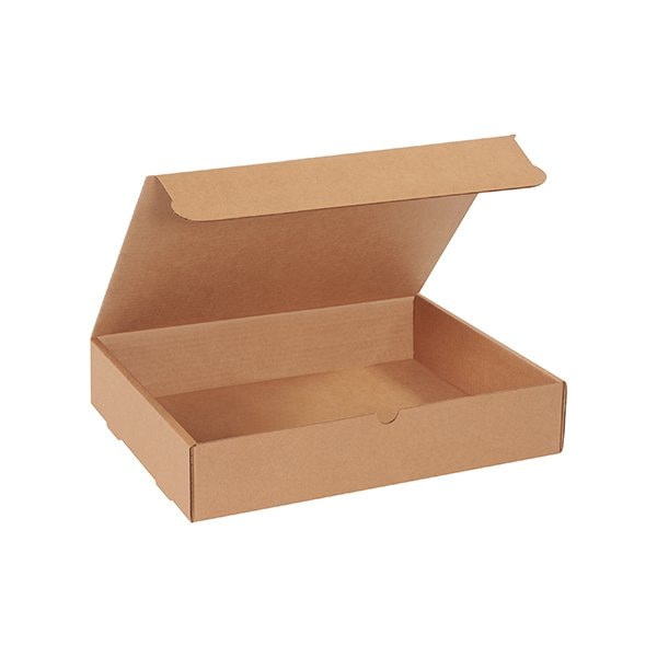Bsc Preferred 15 1/8 x 11 1/8 x 3'' Kraft Literature Mailers, 50PK BUY00014624 - main